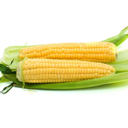 Sweet corn