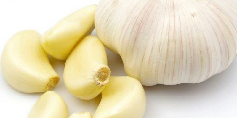 garlic whole1